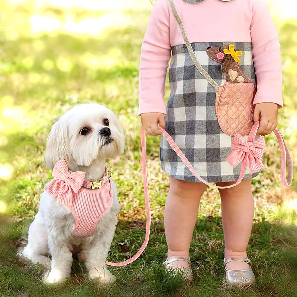 Dog harness