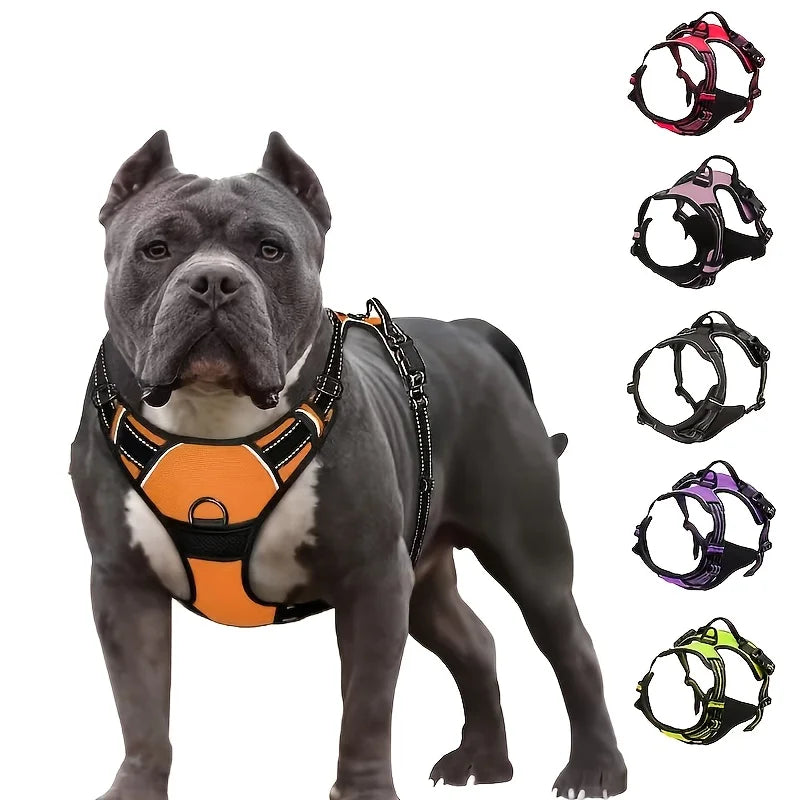Dog harness