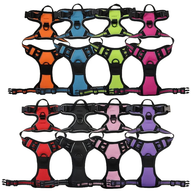 Dog harness