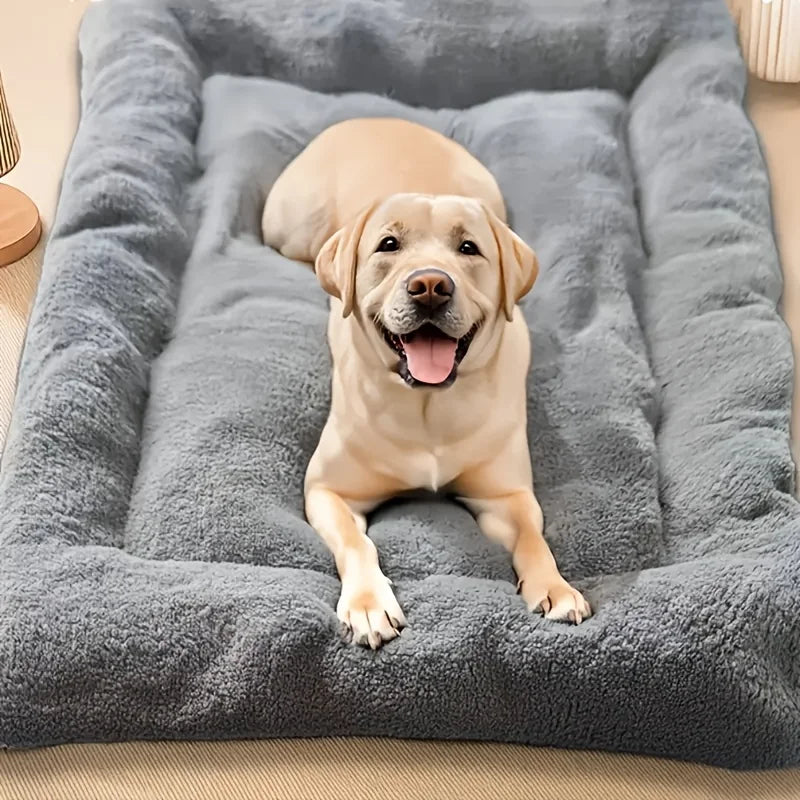 plush pet bed