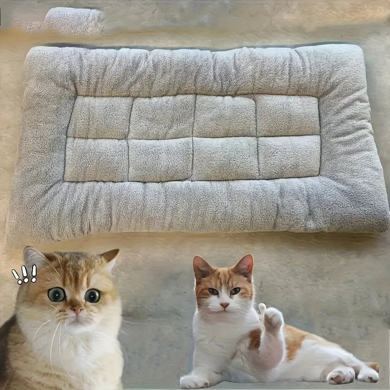 plush pet bed