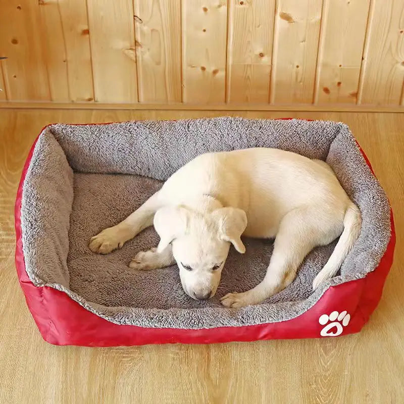 pet bed