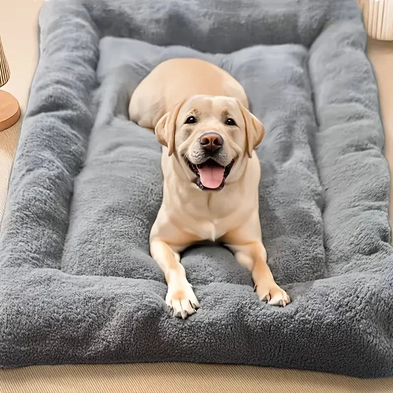 plush pet bed