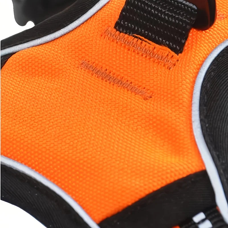 Dog harness